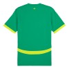 Original Fußballtrikot Senegal Auswärtstrikot 2024-25 Für Herren